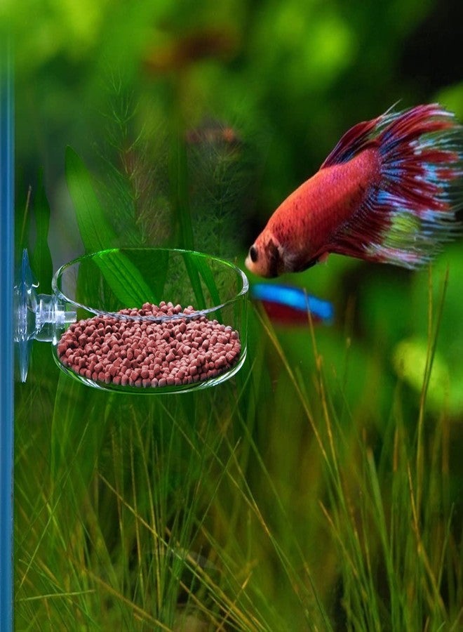 Dannisly Aquarium Glass Feeder Shrimp Feeding Dish Round Clear Fish Tank Food Tray Container Prevent Food Spilling with Suction Cup, 65mm - Image 2